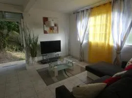 Appartement moderne à Fort-de-France 70 m² - Jardin privé