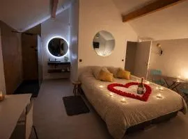 STUNNING VIEW, la chambre à 10min de l'Arkea Arena