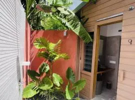 Kazaperrok, tout confort, jacuzzi, lit King-Size