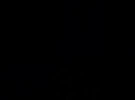 Segal suits, Hotel in Casa Grande