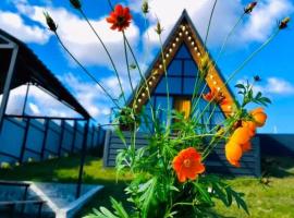 nanoland, hotel i Dushetʼi