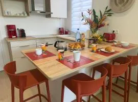 L'Aparté des hibiscus