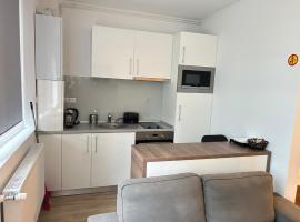 부쿠레슈티에 위치한 호텔 Studio Pompeiu