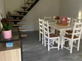 Maison en Haute-Savoie au pied des montagnes !