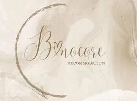 Bonocore Accomodation 2
