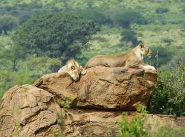 Tausa Tsavo Eco Lodge, allotjament a Voi