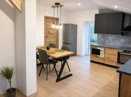 Apartmán Branná 10 z 10 hory klid a vleky 5 min