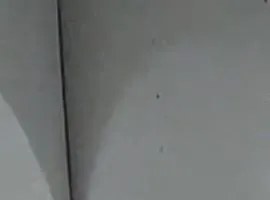 CENTRAL STATION APARTMENTS TROPEA - 200 Meters from the Train - Steps from the Main Street