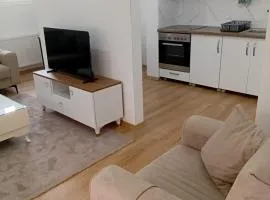 Pristhine Stay Inn 19