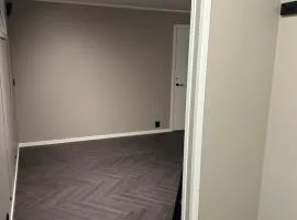 Nyoppusset og moderne sokkelleilighet