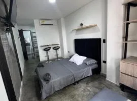 Apartaestudio alucea