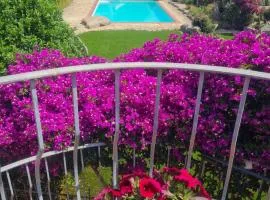 Villa Paradiso con Piscina - Santa Teresa Gallura