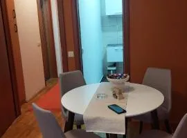 Stan na dan DM Uzice