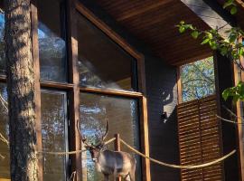 Villa Martta, Ylläs, Lapland Hideaway Near Trails, Hotel in Äkäslompolo