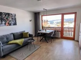 Ferienwohnung Allgäuerle 1604 Ski in Ski out an der Skipiste mit Hallenbad Sauna