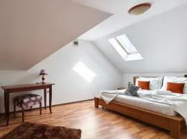 Pensiunea Buon Gusto Sibiu-motorcyle friendly,city center