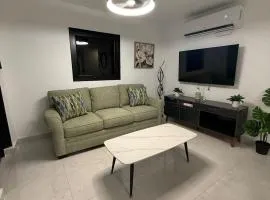 Brand New Luxe Apartment 1
