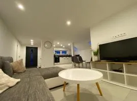 Moderne große Wohnung