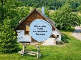 Martinshof Mühle in Hausach