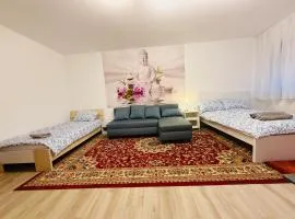 Private room with balcony - Central Dossenheim HD University