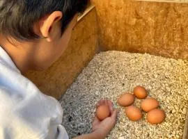 お子様連れ&動物好き大歓迎！産みたての卵を収穫体験できる宿