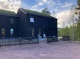 5 star holiday home in Sälen