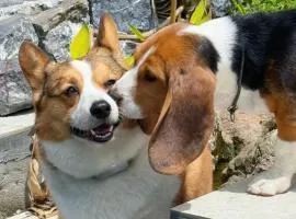 Hidden Valley Hotel--A Hidden Gem,Serene Sanctuary,Exclusive Location & Cycling Route,Attraction Tickets Serivce in advance,Mysterious Realm, Best Karst Mount View in Yangshuo