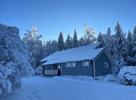 Pakola, hotel en Viitasaari