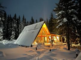 Arenis, hotel sa Muntele Băişorii