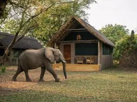 Thornicroft Lodge - South Luangwa