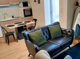 Maison 4 personnes Cholet Puy du Fo