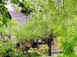 Sigiriya Coconut Shade Resort, Hotel in Sigiriya