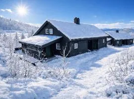 Holiday cottage with jacuzzi close to Kjeragbolten