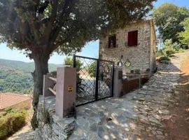 Alta Vista Guest House