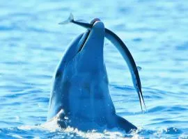 Sunrich Beach Resort