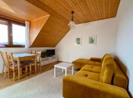 Apartmány v Müllerovom dome