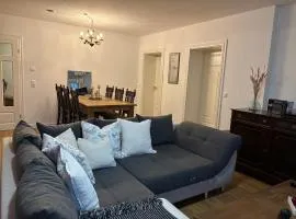Wohnung in historischer Villa im Zentum Neumünsters