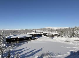 Nydelig utsikt, ski in out, 3 soverom, hotel sa Aurdal
