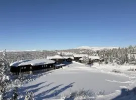 Nydelig utsikt, ski in out, 3 soverom