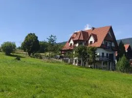 Dom na Leśnej - Mszana Dolna