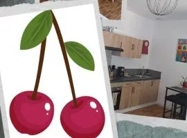 LES CERISIERS Mb4-Mb5-Mb6 Fonctionnel - Entrée autonome & Parking privé