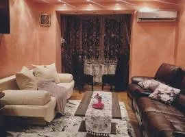 Downtown Cozy Retreat - Central Vatra Dornei -Parcare inclusa