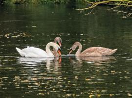 Viesnīca Domek w Dolinie Drwęcy pilsētā Lubicz