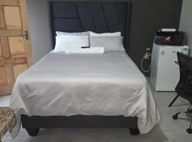 The Good Samaritan 1