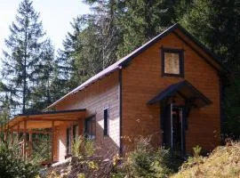 Шале над скелею