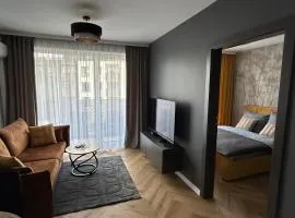 Apartament Grafitowy