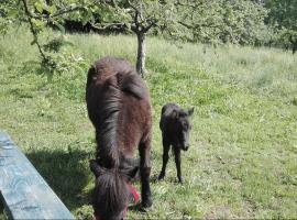 Azienda Turistica Valtriversa, מלון בVillafranca dʼAsti