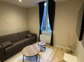 Maison de standing au centre de Reims 7 chambres avec 7 salles de bain, sauna, cour privée
