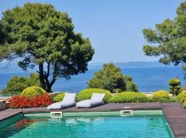 Villa Musa with private pool