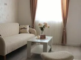 Apartman Nina Banovci